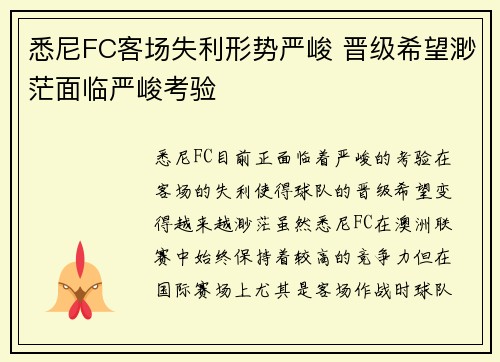悉尼FC客场失利形势严峻 晋级希望渺茫面临严峻考验
