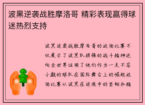 波黑逆袭战胜摩洛哥 精彩表现赢得球迷热烈支持