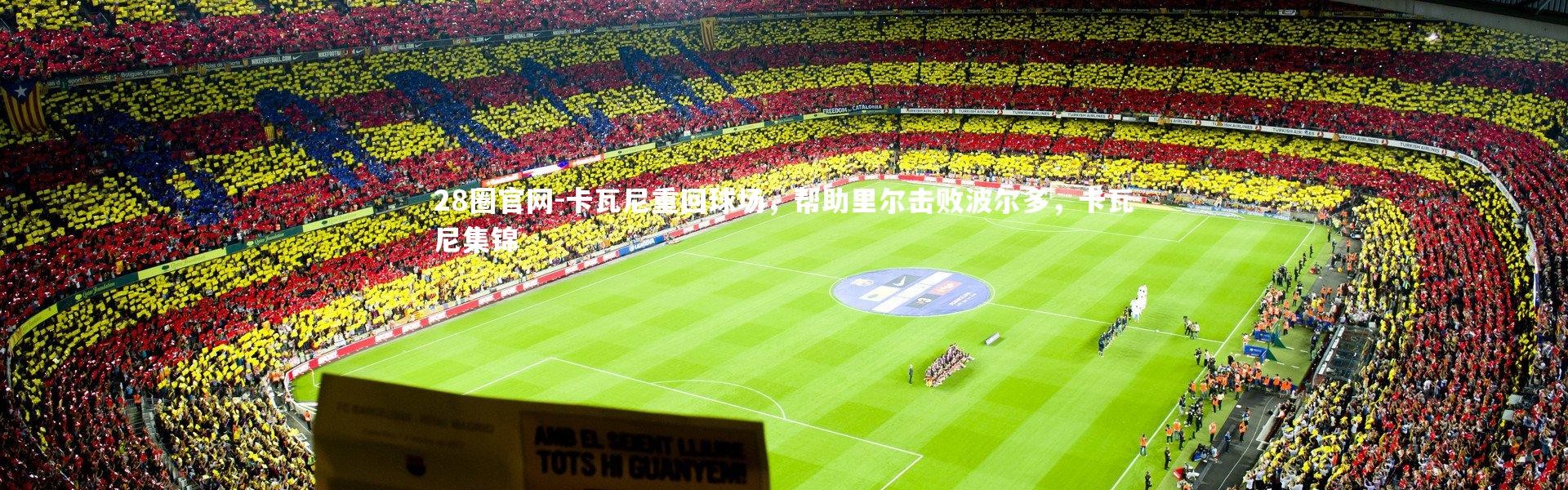 28圈官网-卡瓦尼重回球场，帮助里尔击败波尔多，卡瓦尼集锦