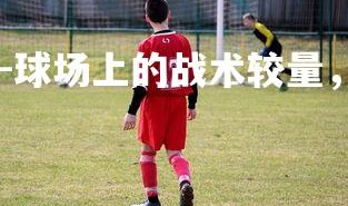 28圈官网-球场上的战术较量，丝丝入扣