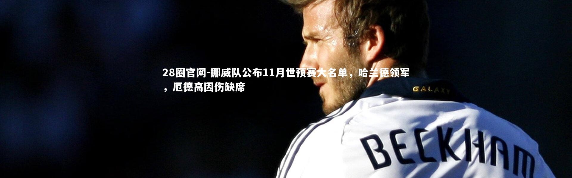 28圈官网-挪威队公布11月世预赛大名单，哈兰德领军，厄德高因伤缺席